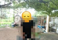 Ciri Pria Ditemukan Gantung Diri di TPS Gotong Royong Guntung Paikat Banjarbaru, Ada Tato di Tangan