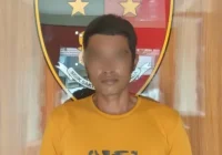 Sopir Truk Asal Balangan Ditangkap Polres Tabalong Bawa 150 Batang Kayu Ulin Tanpa Dokumen