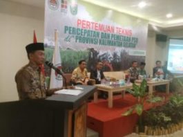 Peremajaan Sawit Rakyat di Tanah Bumbu, Buka Peluang Pekerjaan Kelompok Pertanian