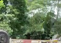 Polisi dan Pertamina Selidiki Penyebab Truk Angkut 10 KL Solar Terbalik di Martapura