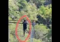 Viral, Dokter Muda Puskesmas Coba Bunuh Diri Loncat dari Jembatan Pipa PDAM