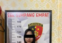 Ibu Rumah Tangga Tawarkan Investasi Jual Beli Ikan dan Solar, Ternyata Bodong