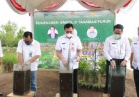 Gandeng Balitbang Kementan dan BNI, Pemko Banjarbaru Budidayakan Tanaman Purun