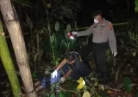 Penjelasan Polisi Terkait Pencari Aren Jadi Mayat di Hutan di Murung Pudak Tabalong