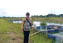 Kembangkan Perekonomian Desa, Berikut Beberapa Potensi di Kusan Hulu