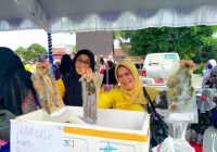 Tekan Inflasi, DKP Kalsel Jual Aneka Ikan Murah di Pasar Murah Banjarmasin
