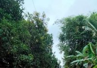 Dua RT Desa Ambakiang Kabupaten Balangan Terendam Banjir