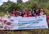 Bersama Dinas Kehutanan Kalsel, PT Adaro Tanam Ribuan Bibit Pohon di Bukit Pamaton