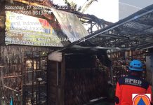 Gudang Pembibitan Jamur di Banjarbaru Terbakar