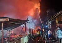 Api Hanguskan 3 Rumah dan Sarang Burung Walet di Desa Linuh Tapin