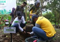 PT SMI Gandeng LMI, Tanam Bibit Pohon di Bukit Priangan Pelaihari