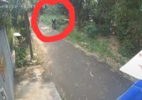 Viral Video Wanita Nekat Terjun ke Sungai, Disebut Terlilit Pinjol