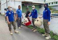 Badut Depan Q Mall Banjarbaru Kembali Diamankan Sat Pol PP