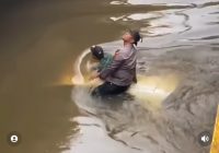 Polri Bagikan Video Polisi Terjun Selamatkan Honda Brio yang Hanyut di Sungai