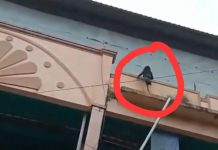 Video Waria Nekat Bunuh Diri Naiki Bangunan Pasar
