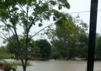 10 RT Terendam Banjir di Kecamatan Jorong Kabupaten Tanah Laut