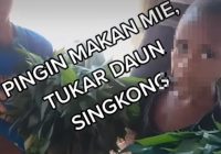 Miris! Dua Bocah Papua Tukarkan Daun Singkong Demi Makan Mie Instan