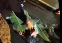 BREAKING NEWS Pengendara Terkapar Bersimbah Darah di Laka R2 Vs Truk di Desa Banyu Irang Bati Bati