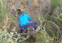 Sesosok Mayat Ditemukan di Pinggir Jalan Desa Pejambuan Sungai Tabuk Kabupaten Banjar