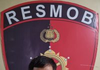 Mendes Diamankan di Polres Tanah Bumbu, Diduga Curi 11 Batang Kayu Sengon