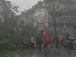 Korban Pohon Tumbang di Jalan Veteran Pasangan Suami Istri, Pengemudi Terpaksa Memutar Arah