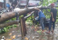 Sejumlah Motor di Parkiran Pasar Sentra Antasari Rusak Ditimpa Pohon Tumbang