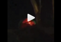 Viral Sejoli Diduga Mesum Saat Kemping di Gunung Salak, Terlihat Gerakan 'Aneh' dari Cahaya Lampu Dalam Tenda