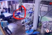 Terungkap Kebenaran Pengakuan Lesti Dilempar Rizky Billar Pakai Bola Biliar