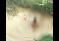 Viral! Pemuda dan Anak Laki-laki Lakukan Adegan Asusila di Kubangan Air