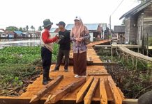 Norlatifah Cek Pembangunan Titian Ulin Sepanjang Hampir 1 Kilometer di Murung Selong Banjarmasin Timur