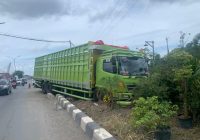 Ban Pecah, Sopir Tabrakkan Truk Tronton ke Trotoar di Turunan Jembatan Sei Alalak Arah Handil Bakti