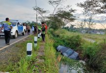 BREAKING NEWS: Kecelakaan Maut R4 vs R2 di Walangsi HST, Pedagang Ikan Tewas di Tempat