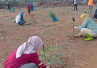 Rimbawan Akan Hijaukan Kawasan Lapangan Golf Landasan Ulin