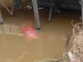 Penemuan Mayat Mengapung di Desa Tumbukan Banyu Nagara HSS