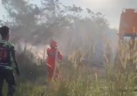 Lahan Terbakar di Indrasari Martapura, Angin Bertiup Kencang Warga Cemas Api Dekati Permukiman