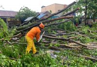 Korban Pohon Tumbang di Jalan Veteran Banjarmasin Luka di Bagian Kepala