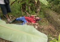 Identitas Mayat Pria di Irigasi Sungai Paring Martapura Telah Diketahui, Jenazah Langsung Dibawa ke Rumah Duka