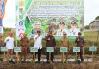 Wamentan RI Rasakan Panen dan Tanam Cabai Hiyung di Tapin Kalsel