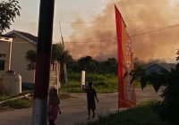 Api Kembali Berkobar di Kebakaran Lahan Indrasari Martapura