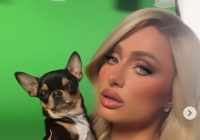 Pilu Paris Hilton Saat Saksikan Rumahnya Luluh Lantak Dilalap Api