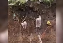 Viral Kain Kafan Jenazah Menjuntai di Tebing Pemakaman yang Longsor