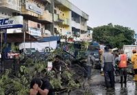 Pohon Tumbang di Jalan Kuripan Banjarmasin Saat Hujan Deras Disertai Angin Kencang