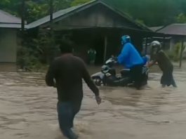 Banjir di Desa Ranggang Kabupaten Tanah Laut Capai Lutut