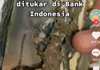 Viral Uang Segepok Dimakan Rayap, Wanita ini 'Gigit Jari' Saat Datangi Bank