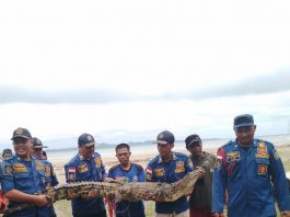Petugas Damkar Tanah Bumbu Dituntut Serba Bisa Lakukan Berbagai Upaya Penyelamatan