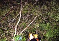 Listrik di Kalteng Pulih, Perbaikan Sempat Terkendala Akses Rawa dan Banjir