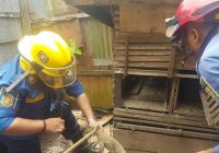 Seekor Biawak 1 Meter Sembunyi di Rumah Warga Pesayangan Utara Dievakuasi Petugas