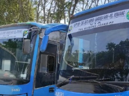 Bus Rute IKN Resmi Beroperasi, Berikut Jalur Trayek dan Tarifnya