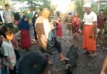 Buaya Penangkaran Lepas, Masuk Perangkap Udang Warga Sungai Musang Aluh-Aluh
