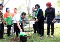 Saat Masuk SD Murid di Banjarbaru Bakal Tanam 1 Pohon Dirawat Hingga Lulus